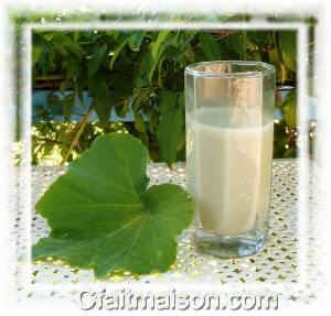 Lait de graines de courges.