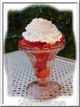 Fruits rouges  la chantilly vgtale