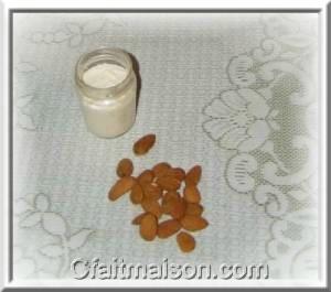 yaourt d'amandes