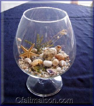 Aquarium décoratif : gravillons, coquillages, étoile de mer, végétaux.