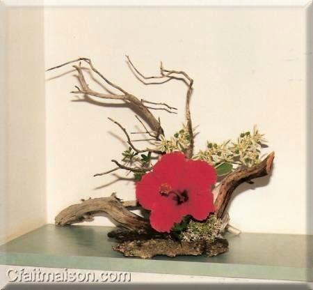 Sculpture végétale avec hibiscus et euphorbe panachée