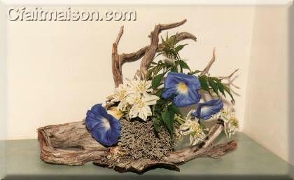 Sculpture végétale avec volubilis et euphorbe panachée