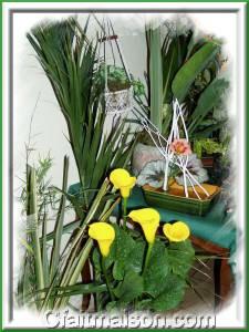 Arums jaunes et bois blancs en quilibre