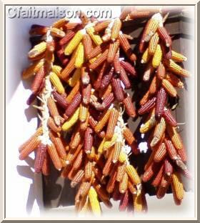 Guirlande de maïs colorés