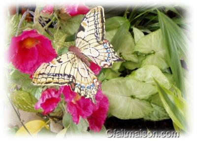 Reproduction d'un papillon en tissu trs fin.