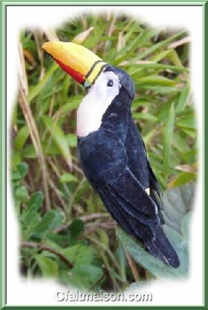 Toucan.