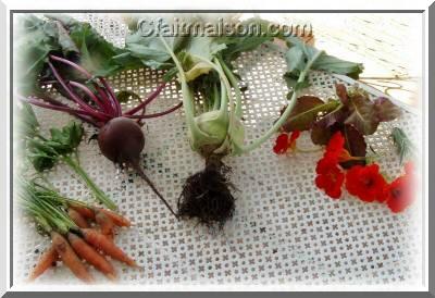 Légumes racines et fleurs de capucine.
