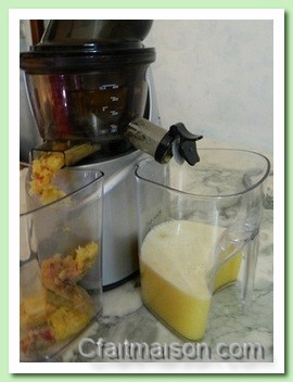 Bouchon de l'extracteur de jus Kuvings B9000