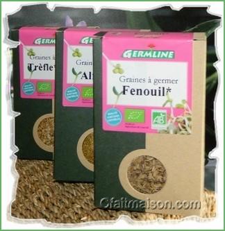 Graines Germées : Lesquelles choisir ? Comment les faire pousser ? - Olive  et Coconut