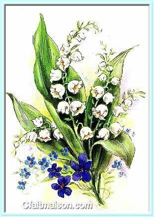 muguet