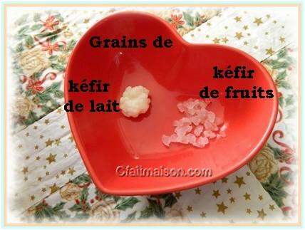 KÉFIR de LAIT