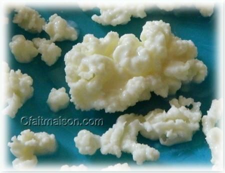 kefir de lait grains