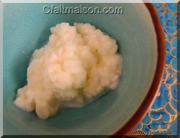 Grains de kfir de lait, ils ressemblent  des sommits de choux fleur.