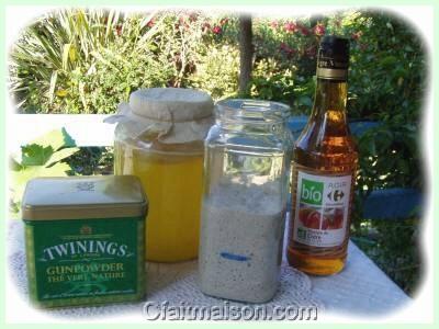 Levain et ingrdients pour prparer le kombucha