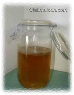 bocal de prparation du kombucha