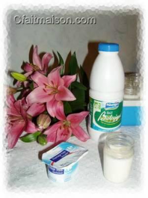 Lait ferment� au fromage blanc