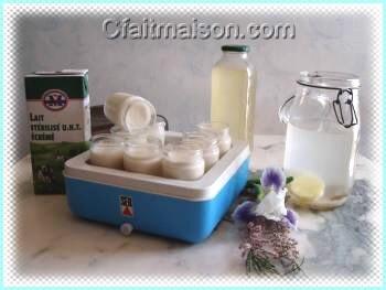 lait de vache ferment par de la boisson kfir de fruits en yaourtire