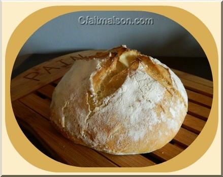 Le pain selon la technique de pain artisanal en 5 minutes par jour.
