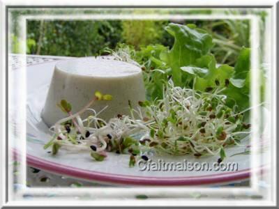 Flan au fenouil entour de verdure.