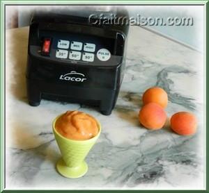 Sorbet aux abricots au blender Lacor.