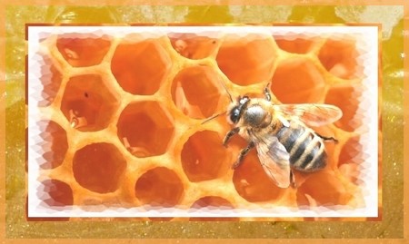 Etiquette pour pot de miel ou produit de la ruche.