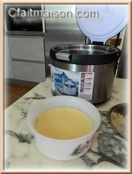 Flan aux oeufs au thermal cooker