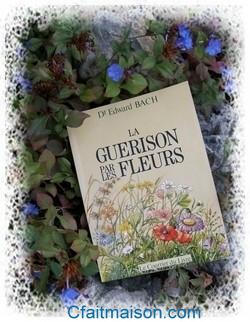 Livre La gurison par les fleurs