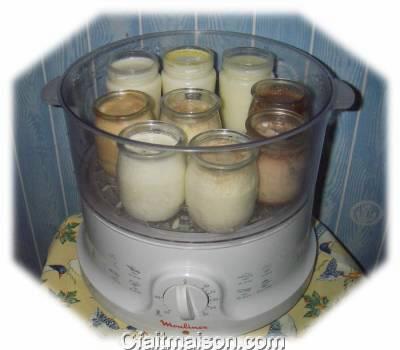 yaourt maison au cuit-vapeur